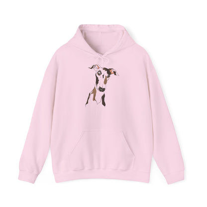 Personalised Pet Hoodie - Watercolor Style